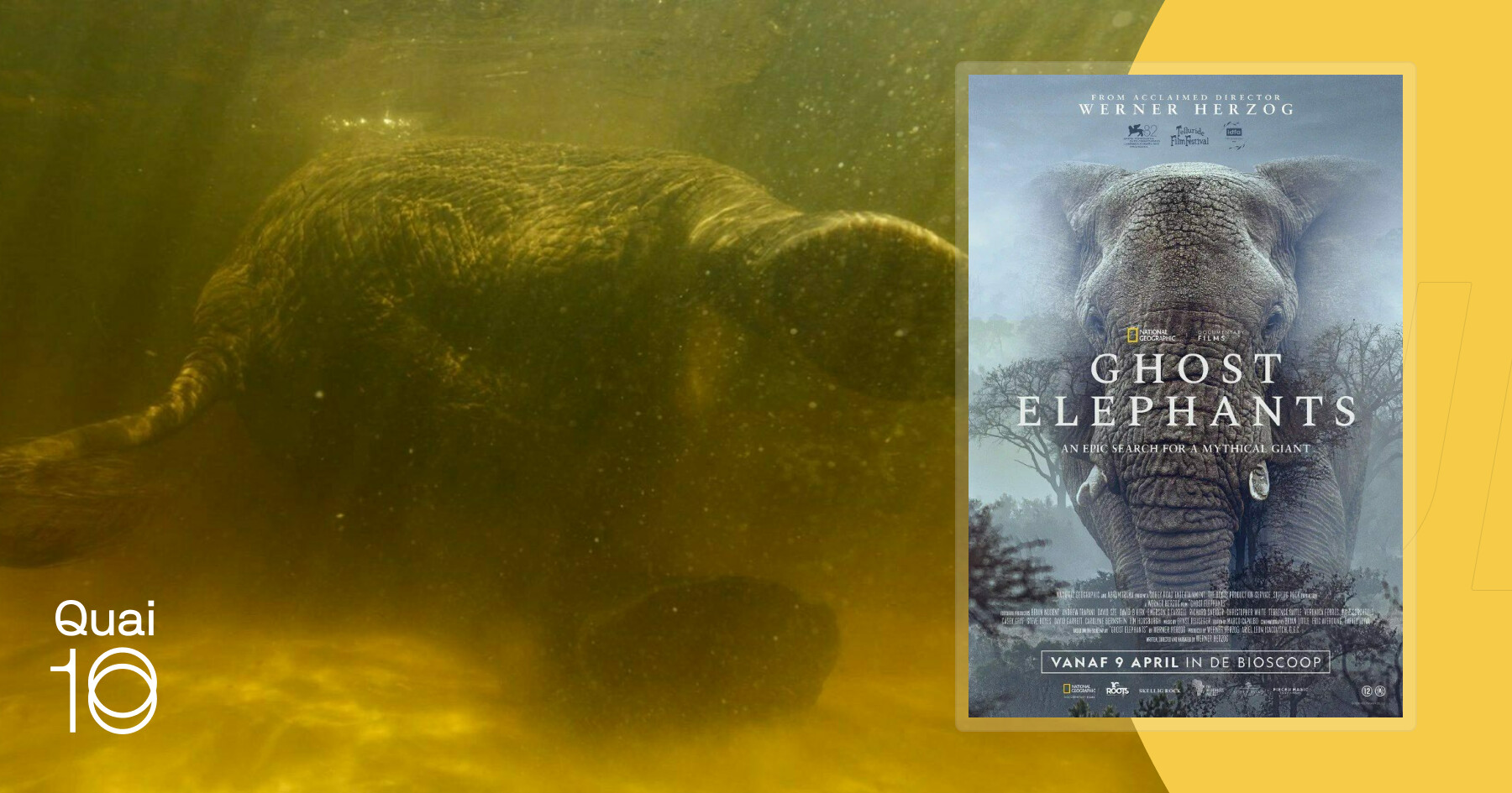 Ghost Elephants | Cinéma — Quai10