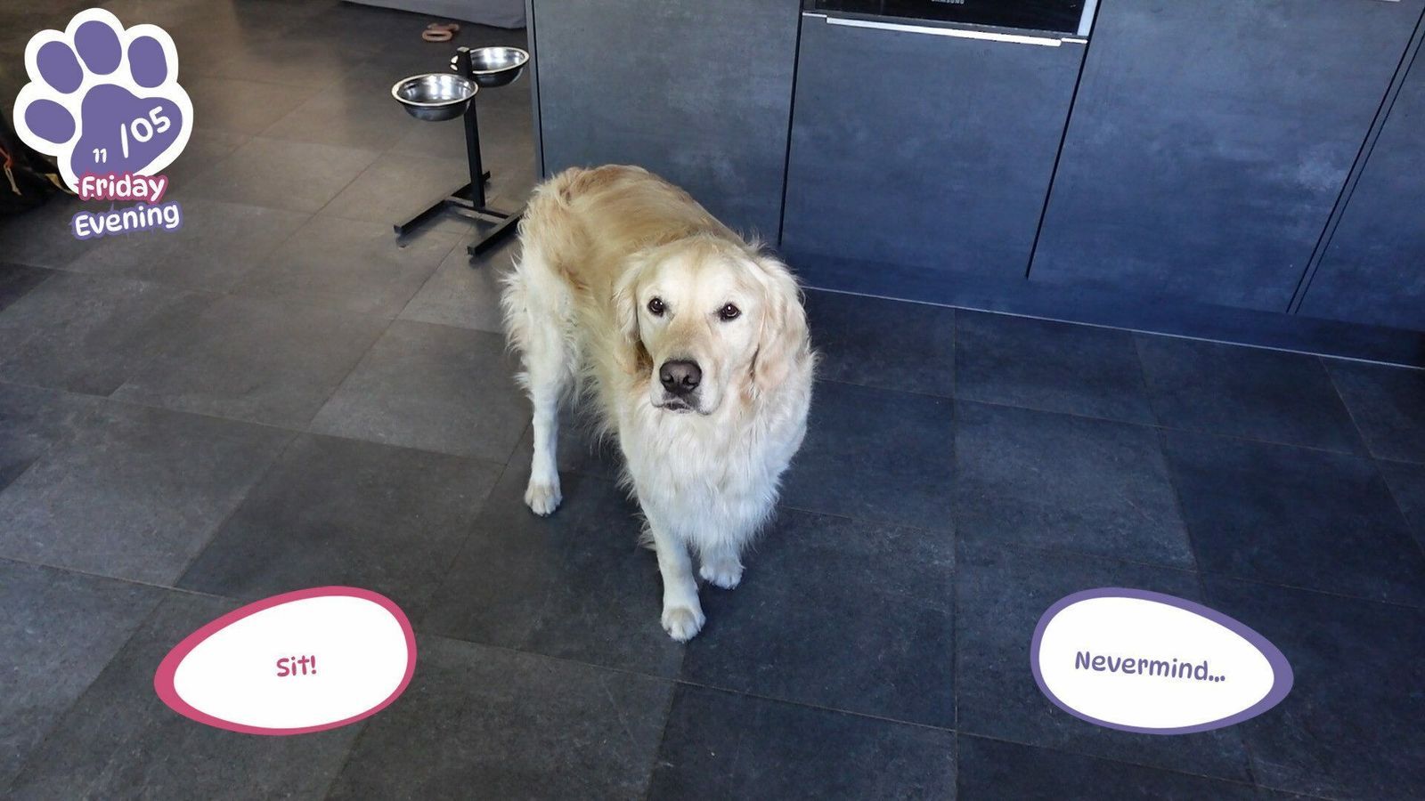 Golden Retriever simple Life 5