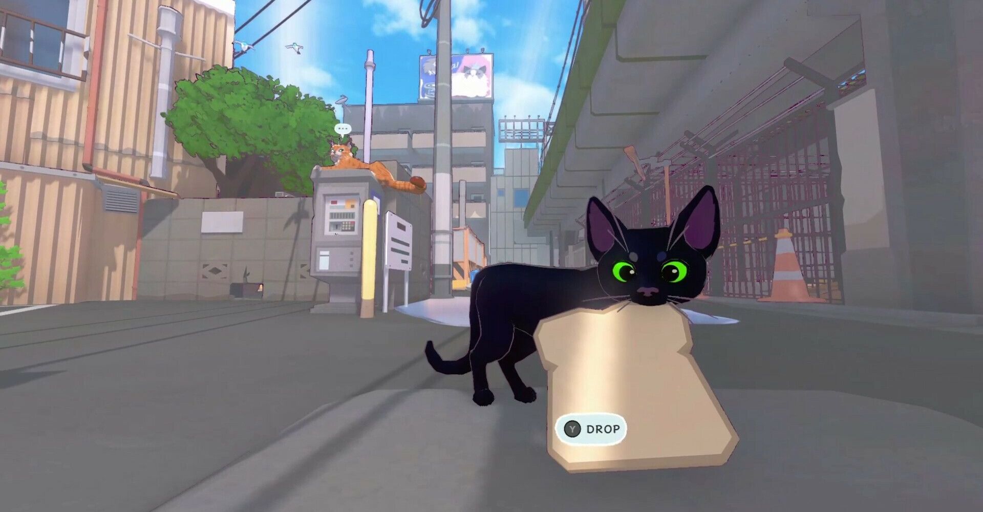 Little Kitty Big City