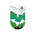 Story Insta logo lions