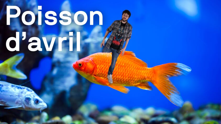 Poisson davril