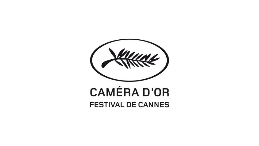 Camera dor