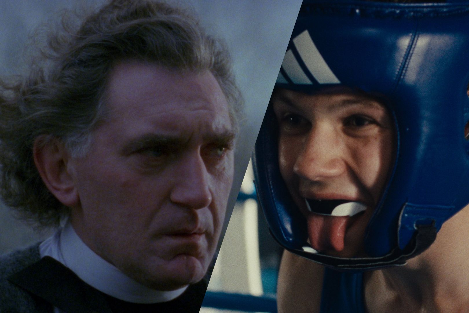 La danse de renards x Daens