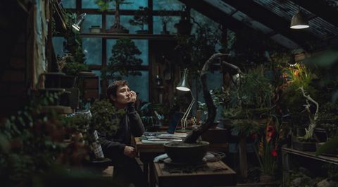 No Other Choice illustrations site web