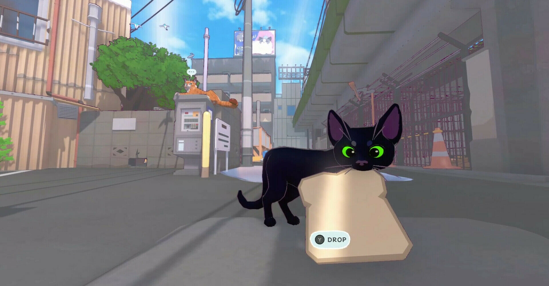 Little Kitty Big City