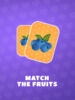 Pochette du jeu vidéo Match the Fruits - Quai10